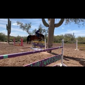 Meet your Posher, Dominique